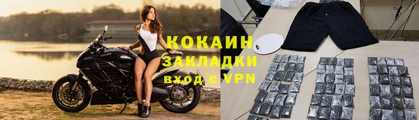 не бодяженный Пересвет