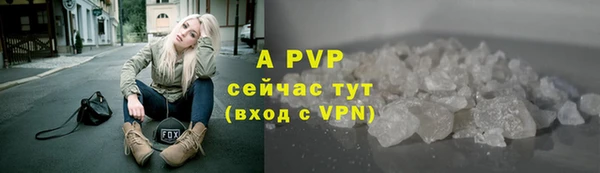 прущие грибы Арсеньев
