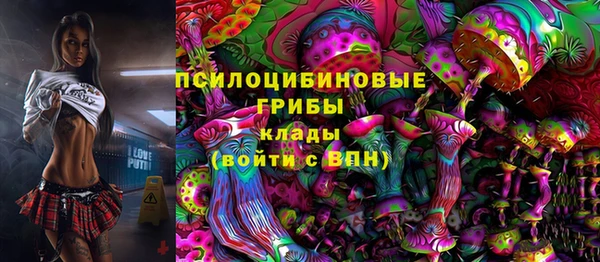 винт Переславль-Залесский