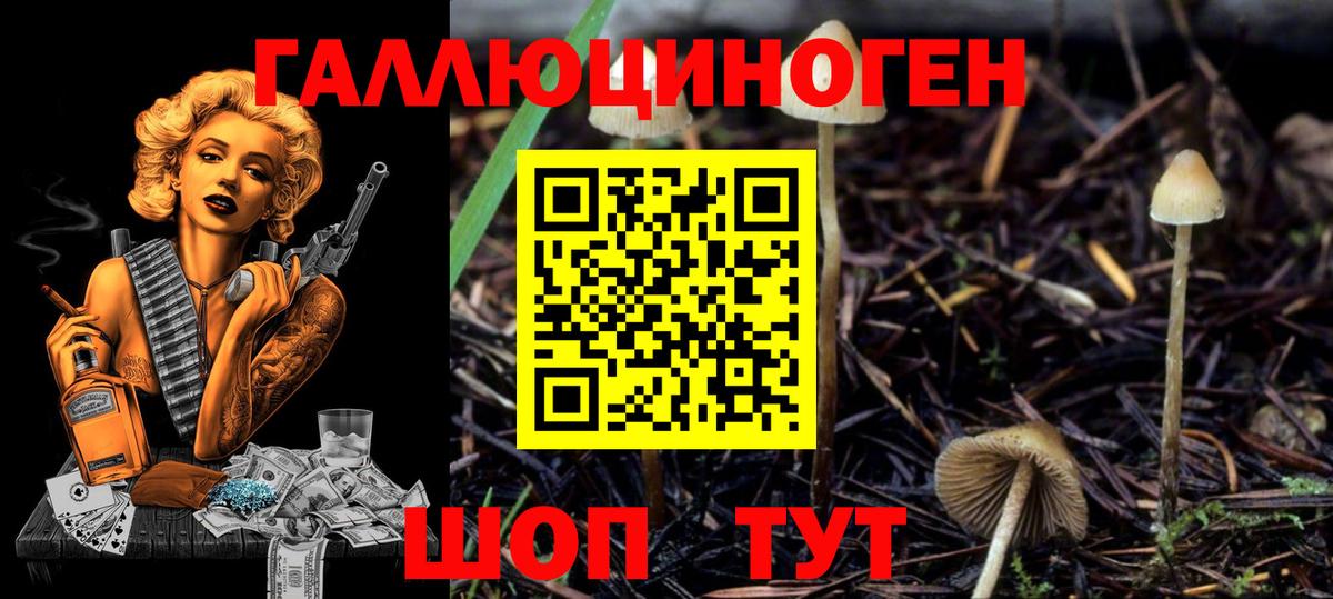 Псилоцибиновые грибы Magic Shrooms  Псилоцибиновые грибы ЛСД  Вход с VPN  Советская Гавань 